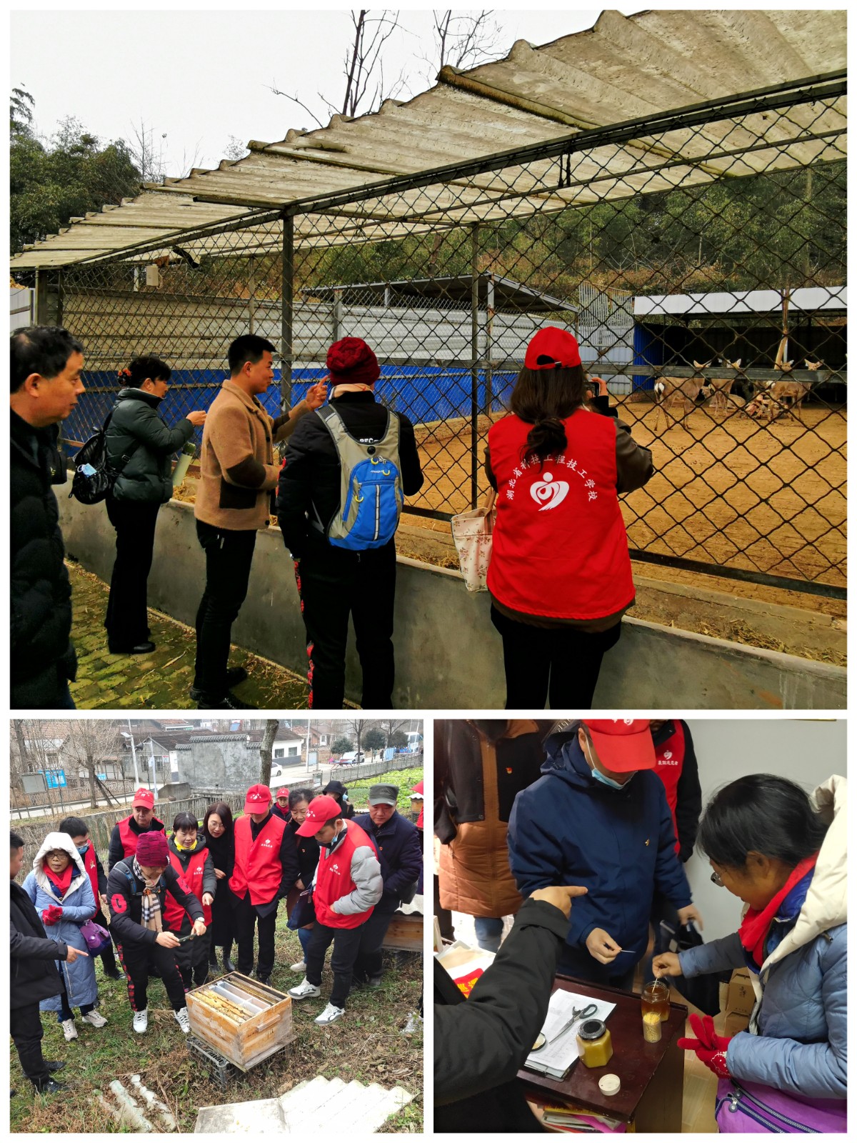 1640417246730930.jpg 44.jpg