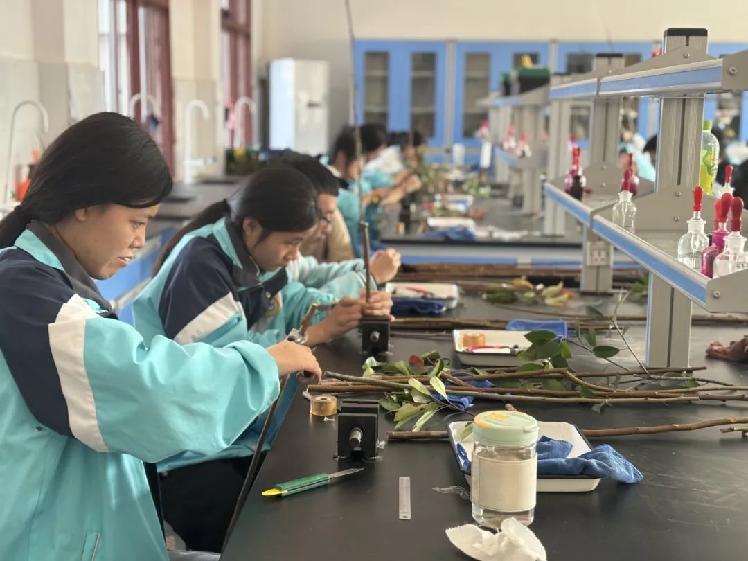 1702292228682553.jpg 640 (1).jpg