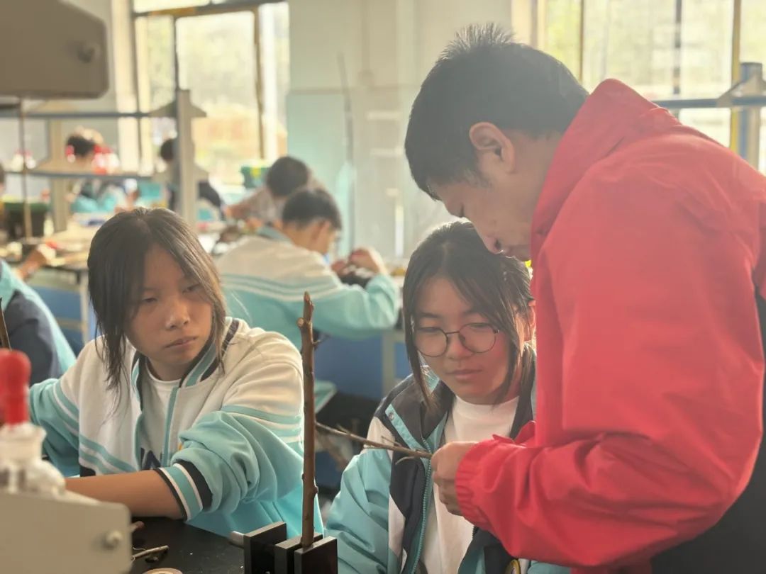 1702292237360211.jpg 640 (2).jpg