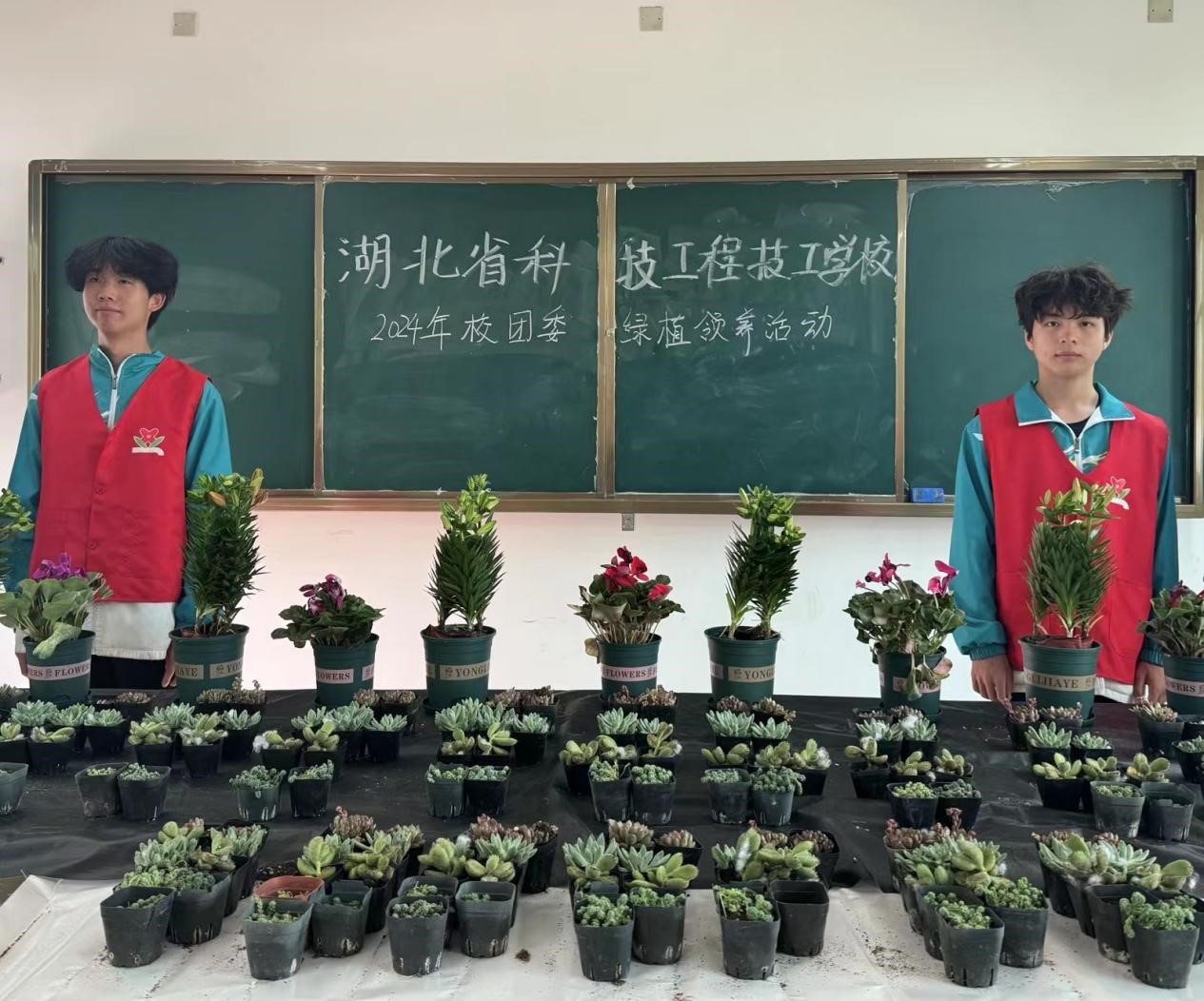 1716536252899255.jpg 图片2.jpg