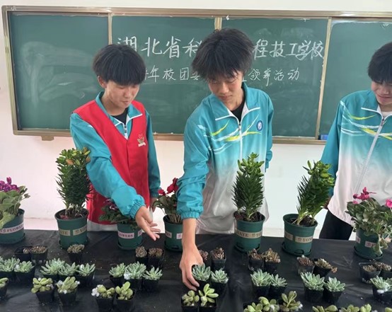 1716536317863932.jpg 图片6.jpg