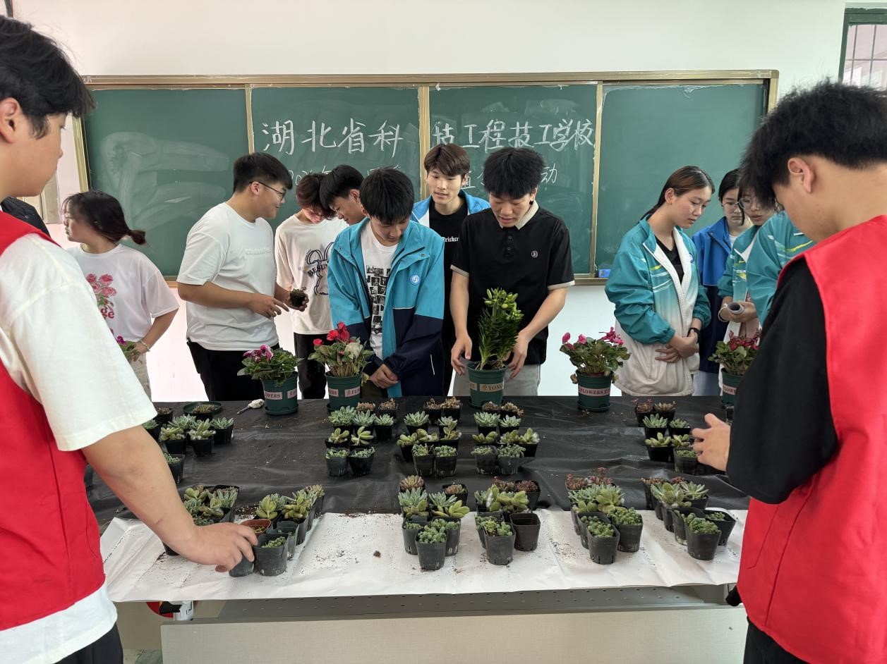 1716536327738832.jpg 图片7.jpg