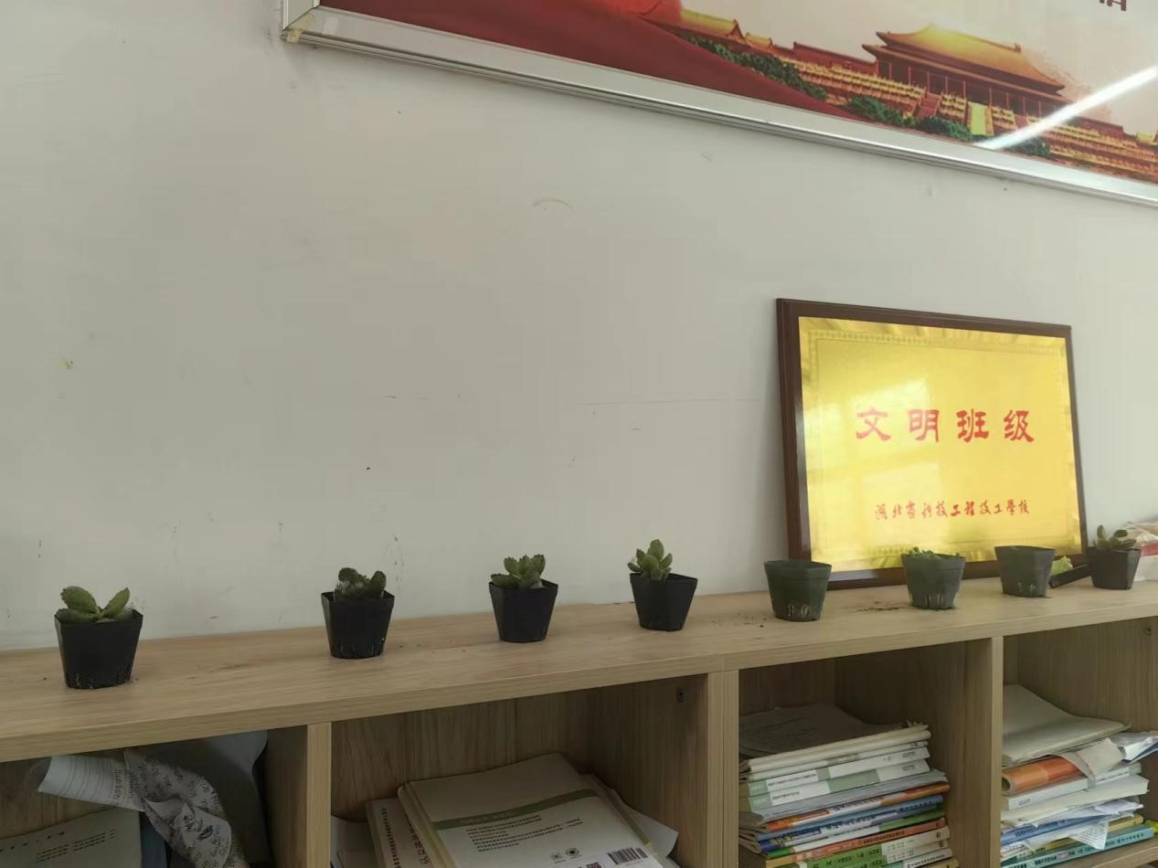 1716536351307217.jpg 图片10.jpg