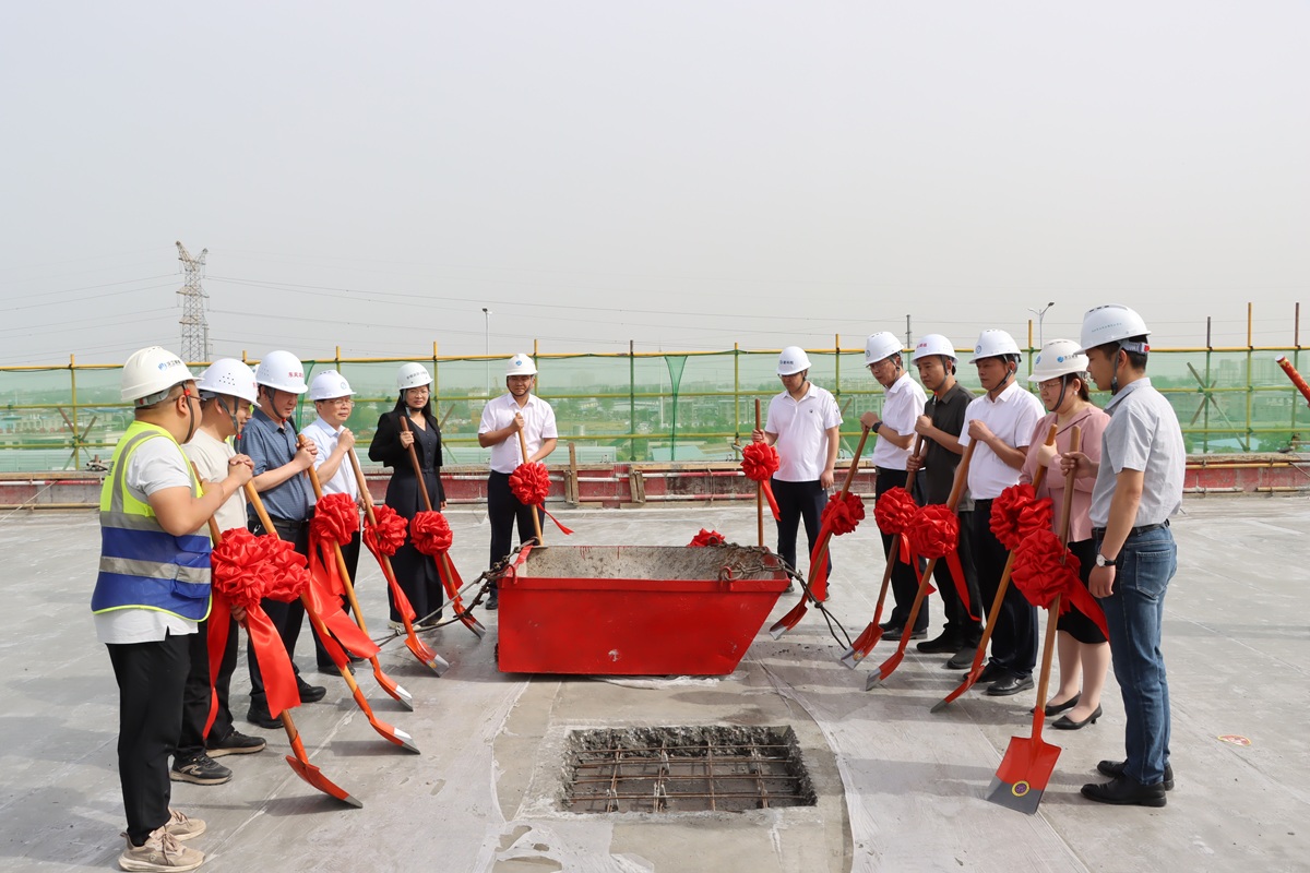 1745714264139645.jpg IMG_9544.JPG